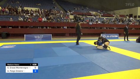 Sophia Grace Montenegro vs Addyson Paige Greene 2024 Pan IBJJF Jiu-Jitsu No-Gi Championship