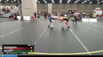 141 lbs 2nd Wrestleback (16 Team) - Tate Murty, Upper Iowa vs Jacob Mitchell, Fort Hays State