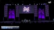 Studio 22 - Tiny Pom [2026 Tiny - Intermediate - Pom Day 3] 2026 JAMfest Dance Super Nationals