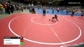 45 lbs Round Of 16 - Abby Miqueli, Perry Wrestling Academy vs L. Rose Springfield, Chandler Takedown Club