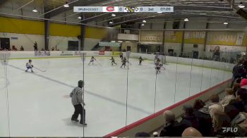 Replay: Home - 2025 2025 Toronto U10AAA vs WhitbyU10AAA | Nov 29 @ 6 PM