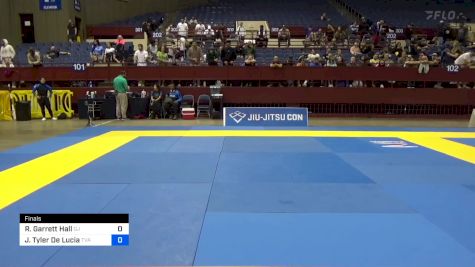 Reed Garrett Hall vs Justin Tyler De Lucia 2024 Pan IBJJF Jiu-Jitsu No-Gi Championship
