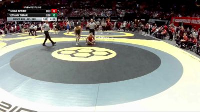 D1-120 lbs Quarterfinal - Ethan Timar, St. Edward vs Cole Speer, Brecksville