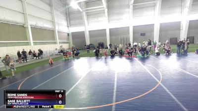 49 lbs Cons. Semi - Rome Sands, Team Prestige Wrestling vs Sage Balliett, Roy Wrestling Club