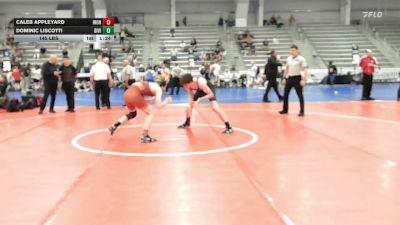145 lbs Rr Rnd 3 - Caleb Appleyard, Iron Faith Gold - HSB vs Dominic Liscotti, Division-1 Training Center - HSB