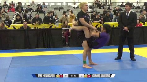 Bastian Andres Subiabre Torres vs Zane Hieu Nguyen 2024 World IBJJF Jiu-Jitsu No-Gi Championship