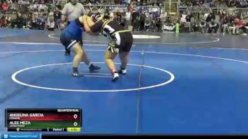 250 lbs Quarterfinal - Angelina Garcia, MonDak vs Alee Meza, Jamestown