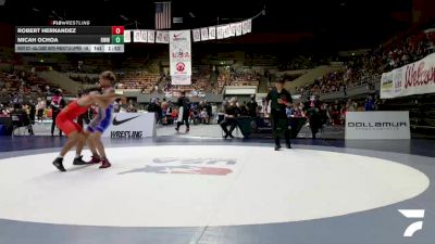 All Cadet Boys Freestyle Upper - 144 lbs Cons. Round 2 - Robert Hernandez vs Micah Ochoa, Red Wave Wrestling