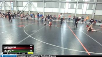 45-46 lbs Round 3 - Declan Carl, Lionheart WC vs Martin Mathis, Moses Lake WC