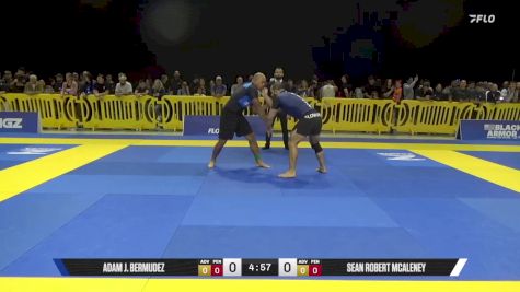 Sean Robert McAleney vs Adam J. Bermudez 2025 Pan IBJJF Jiu-Jitsu No-Gi Championship