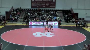 131 lbs Sara Sterner, North Central College vs Hannah Palise, Grand Valley State