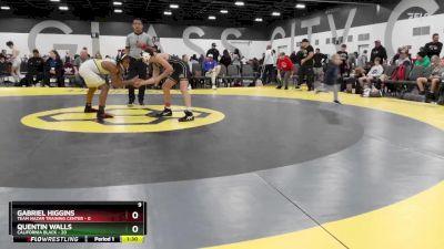 100 lbs Quarterfinals (8 Team) - Quentin Walls, California Black vs Gabriel Higgins, Team Nazar Training Center
