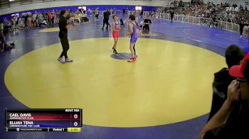 98 lbs Round 3 - Cael Davis, Lebanon Mat Club vs Elijah Tena, Cornerstone Mat Club