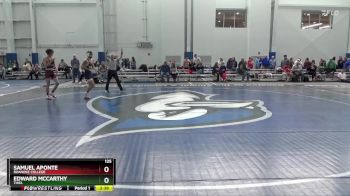 125 lbs Cons. Round 4 - Samuel Aponte, Roanoke College vs Edward McCarthy, Thiel