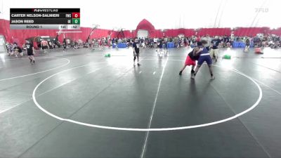 210-217 lbs Round 1 - Carter Nelson-Salmieri, FZ Wrestling Club vs Jason Reed, Oswego East