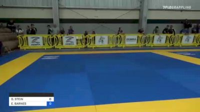 DANA STEIN vs ERICA BARNES 2021 Pan IBJJF Jiu-Jitsu No-Gi Championship