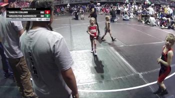 41-44 lbs Cons. Round 2 - Raelyn Collins, Wayne Wrestling Club vs Gracelynn Barnholtz, Bayard Wrestling Club