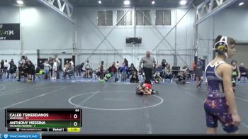 64 lbs Round 3 (4 Team) - Anthony Messina, Vougars Honors vs Caleb Tsikerdanos, Warhawks