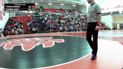 106 lbs 3rd Place Match - Stefan Drabiak, Cle. St. Ignatus vs Dominic Nofel, Berea-Midpark