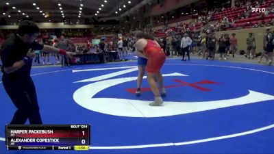 285 lbs Cons. Round 1 - Harper Packebush, CO vs Alexander Copestick, AR