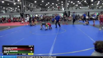 84 lbs Round 2 (4 Team) - Emilio Abaneese, POWA vs William Schork, Terps Xtreme