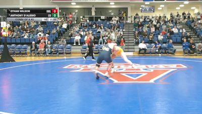 184 lbs Consi Of 8 #2 - Ethan Wilson, Drexel vs Anthony D`Alesio, LIU