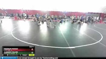 120 lbs Round 1 (4 Team) - Magnum Moggo, Clear Lake vs Gabrien Callies, Rochester Century