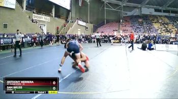 165 lbs Quarters & 1st Wb (16 Team) - Anthony Herrera, St. Cloud State vs Sam Bruss, UMary