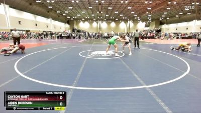 175 lbs Cons. Round 2 - Cayson Hart, Overland Park-St. Thomas Aquinas HS vs Aiden Robeson, Smithville