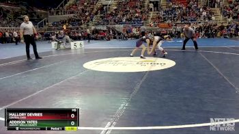 106 lbs Champ. Round 1 - Mallory DeVries, Central Cass vs Addison Yates, Harvey-Wells County