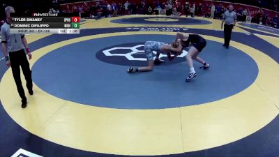 D1-106 lbs Champ. Round 1 - Tyler Swaney, Springboro vs Dominic Difilippo, Medina