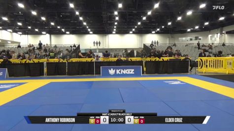Michael Mehl vs Edward Lucero Jr. 2025 World IBJJF Jiu-Jitsu No-Gi Championship