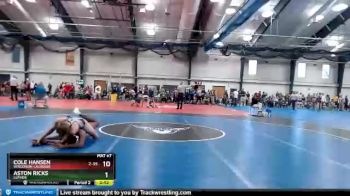 157 lbs Champ. Round 1 - Aston Ricks, Luther vs Cole Hansen, Wisconsin-LaCrosse