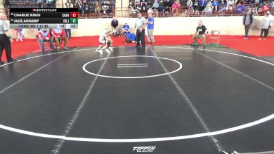 65_B lbs Consi Rd 1 32 #2 - Charlie Krug, Cambria Heights vs Jace Aukamp, Solanco