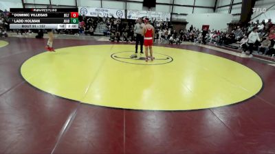 157 lbs Quarterfinal - Ladd Holman, Juab vs Dominic Villegas, Delta