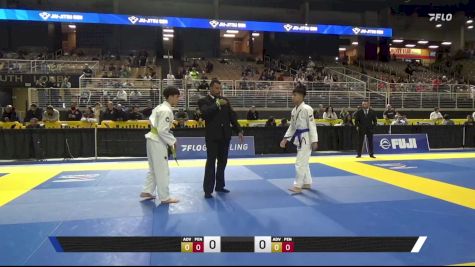 Andrew Nguyen vs Chase Alexander Colbath 2025 Pan Jiu Jitsu IBJJF Championship