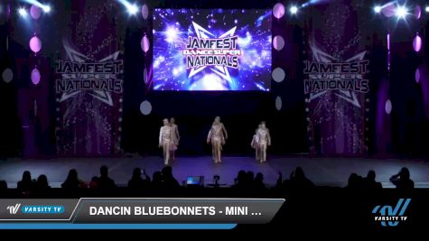 Dancin Bluebonnets - Mini Elite Contemporary [2022 Mini - Contemporary/Lyrical - Small Day 3] 2022 JAMfest Dance Super Nationals
