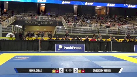 David Keith Werner vs Joan M. Cabas 2025 Pan Jiu Jitsu IBJJF Championship