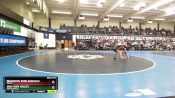 133 lbs Cons. Round 3 - Brandon Borlinghaus, Drury vs Breyden Bailey, Indianapolis