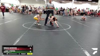 48 lbs Round 1 (4 Team) - Brock Bateman, U2 Upstate Uprising Blue vs Larry Steimel, Iron Horse