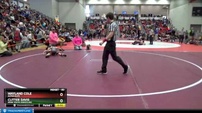 60 lbs 3rd Place Match - Wayland Cole, Alpha Elite vs Cutter Davis, Arab Youth Wrestling