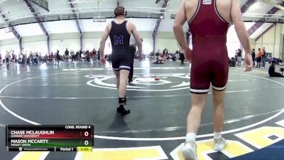 141 lbs Cons. Round 4 - Mason McCarty, Mount Union vs Chase McLaughlin, Gannon University