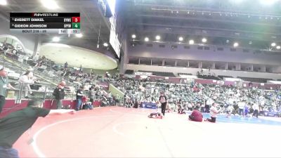 49 lbs Semifinal - Everett Dinkel, Dover Youth Wrestling Club vs Gideon Johnson, Benton Parks Youth Wrestling