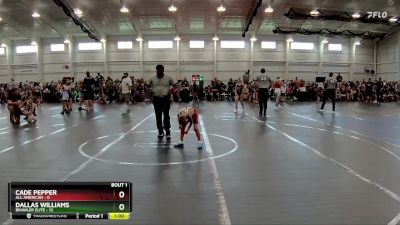 48 lbs Finals (2 Team) - Cade Pepper, All American vs Dallas Williams, Brawler Elite