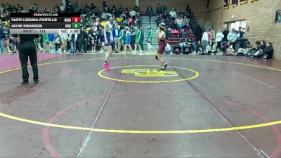 114 lbs Champ. Round 1 - Vasti Lozania-portillo, Nogales vs Jayne Swanson, Ironwood Ridge High School