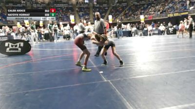 89 lbs Round Of 16 - Caleb Judice, Bald Eagle Area vs Haydyn Horwat, Derry