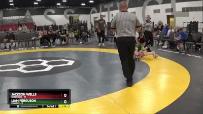 60 lbs Placement Matches (8 Team) - Liam Ferguson, Minions vs Jackson Wells, Rebellion