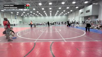 106 lbs Round Of 16 - Carter Lirgg, SC vs Mason Keesecker, PA