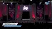 Brio Studios - Mini Premier Small [2023 Mini - Contemporary/Lyrical - Small Day 2] 2023 JAMfest Dance Super Nationals