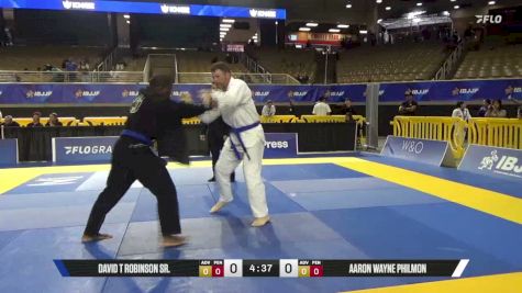 Aaron Wayne Philmon vs David T Robinson Sr. 2026 Pan Jiu Jitsu IBJJF Championship